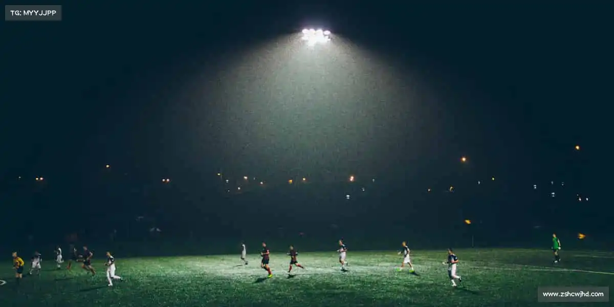 美狮贵宾会ms092021——跳跃吧，让世界看见你的高度！